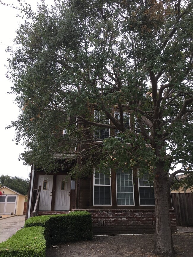 551 59th St unit A, Oakland, CA 94609 - photo 3