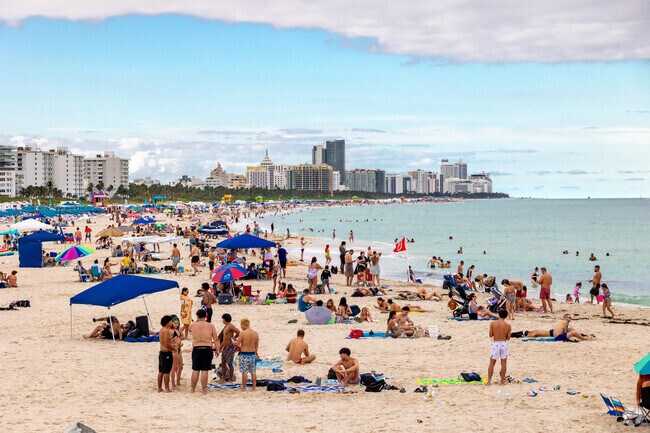 Miami Beach attracts millions of visitors each year, so many of them decide to buy a new home.