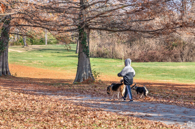 A woman walks dogs along a tree lined trail in Bella Fontaine West Park near Moline Acres.