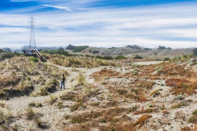 The Manila Dunes is a protected area with many trails throughout the dunes in Manila.