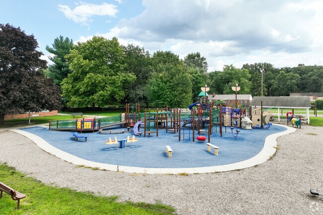 Douglas Road Elementary Playground