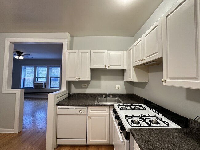 3732 N Pine Grove Ave unit J06P, Chicago, IL 60613 - photo 6