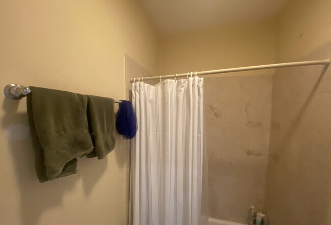 36 Cherokee St unit 3, Roxbury Crossing, MA 02120 - photo 5