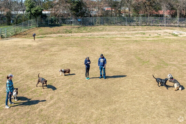 Locals enjoy bringing their pets for a walk at McAlpine Creek Park in East Forest.