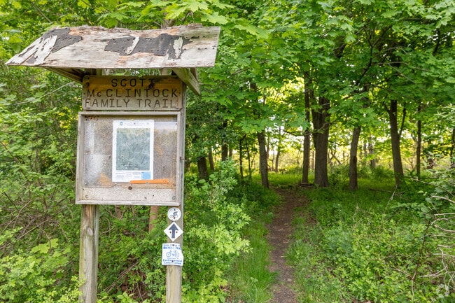 There are many biking and hiking paths to explore in the Rocky Point Pine Barrens area.
