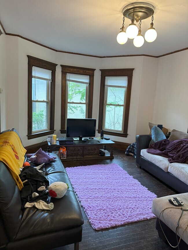 47 Mound St, Athens, OH 45701 - photo 3