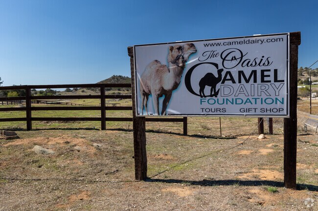 Oasis Camel Dairy offers farm tours, a gift shop and lots of opportunities for animal interaction.