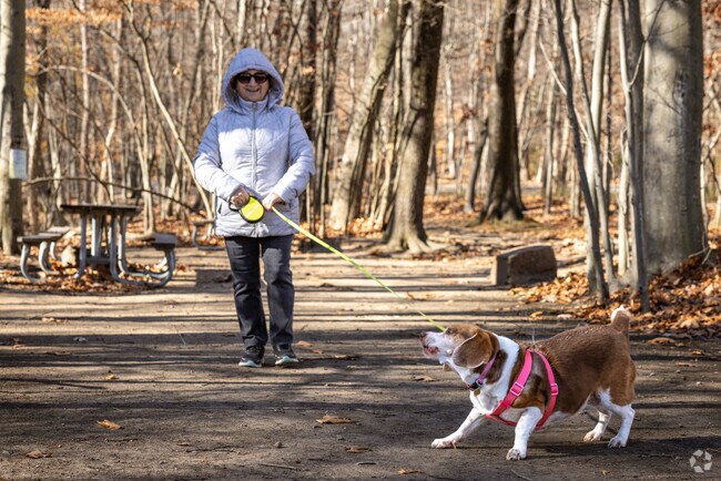 Hedden County Park is a fantastic place to walk your canine friend in Randolph, NJ.