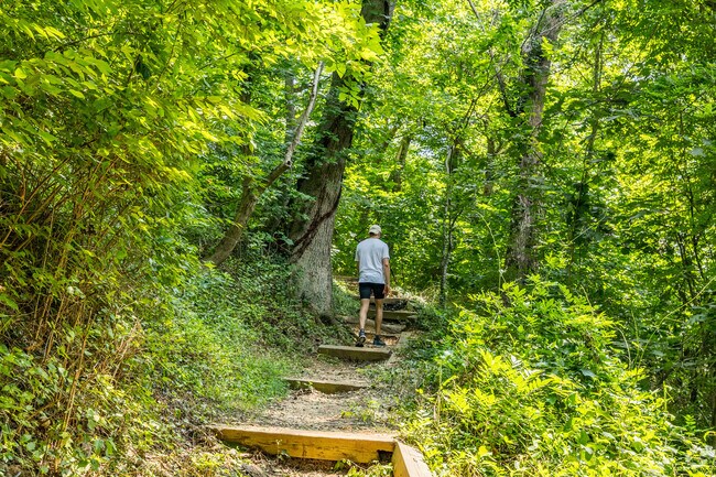 Experience tranquility at Cabin John's gem, Chesapeake & Ohio Canal. A haven for peaceful walk.