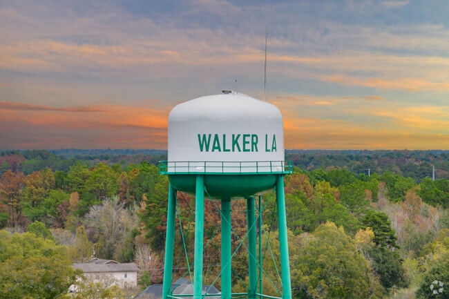 Walker is one of only two cities in Livingston Parish.