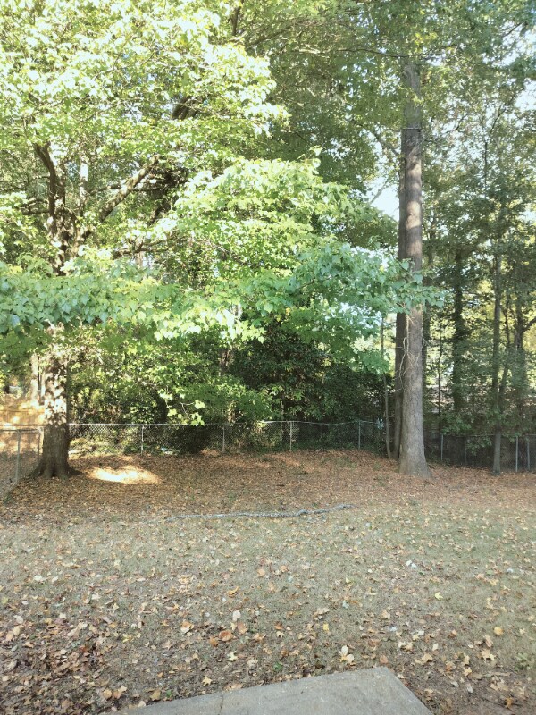 111 Maple St, Auburn, AL 36830