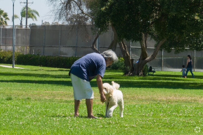 Take your dog to the park in West Carson, Harbor City, California.