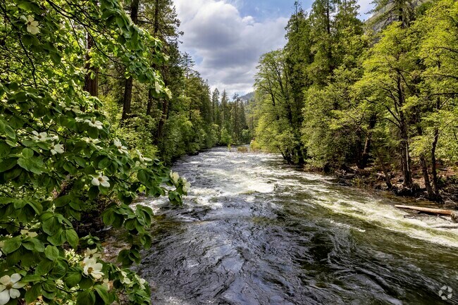 Near the city of Sonora, Yosemite National Park, located about 50 miles southeast, offers breathtaking landscapes and outdoor adventures for nature enthusiasts.