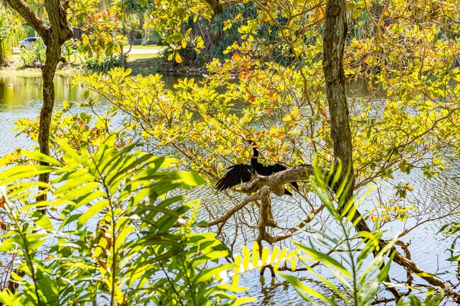 Wildlife can be spotted throughout the Snapper neighborhood.