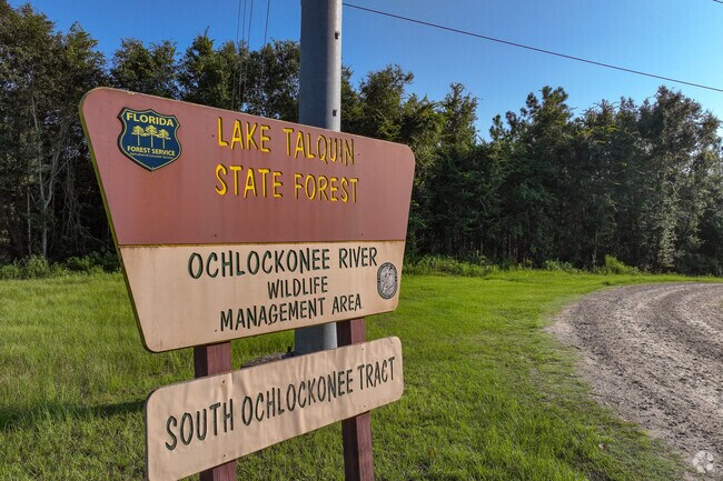 Lake Talquin State Forest in the Florida Panhandle features trails near the Ochlockonee River.