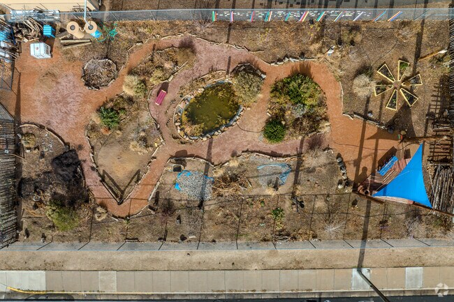 The garden at Wilson Middle School.
