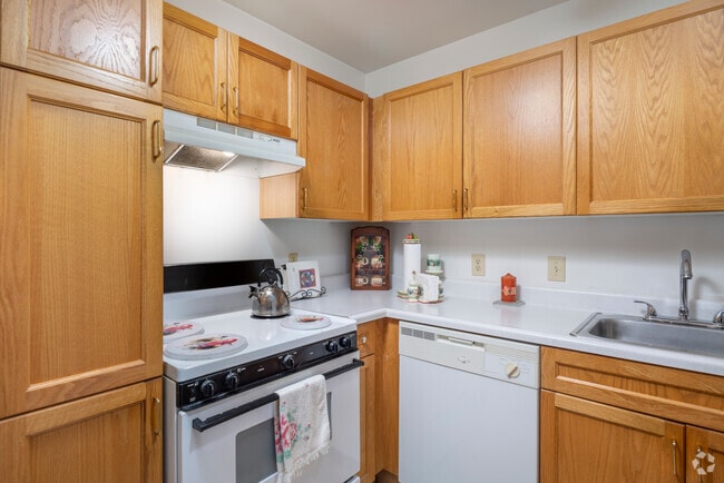 Augusta Springs, Augusta, GA 30909 - photo 4