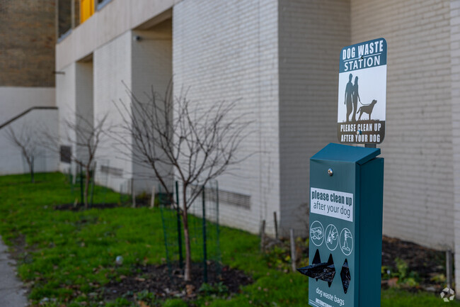 Keep Andrew Hamilton School clean by cleaning up after pets.
