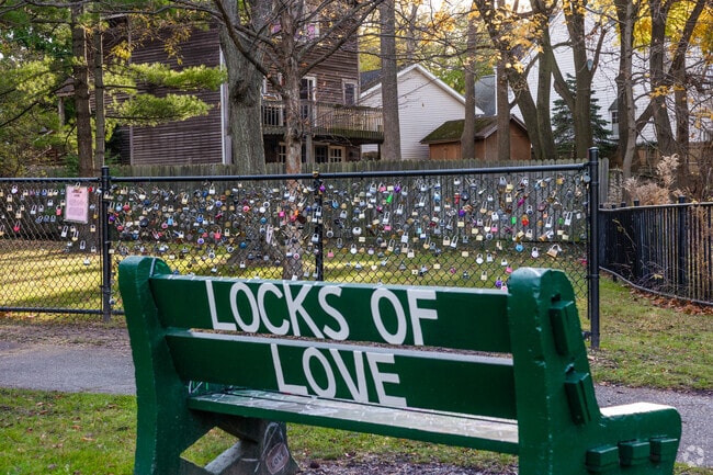 Locals show off their love at the Locks of Love fence in Amherst, New York.