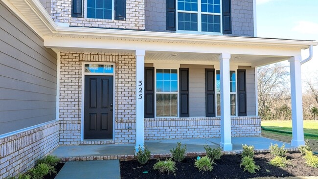 325 Harvest Point Blvd, Spring Hill, TN 37174 - photo 3