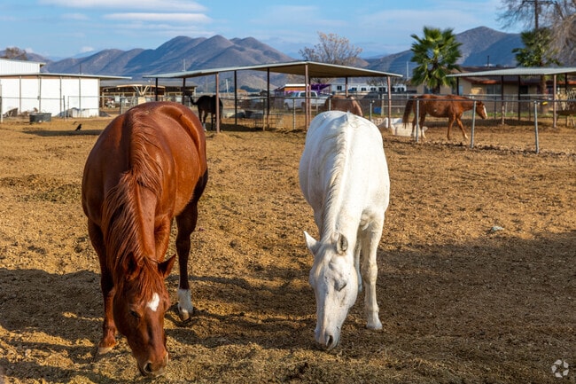 Discover equestrian properties with ample space for horses in Winchester.