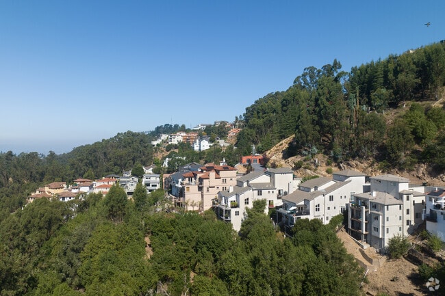Rows of homes line the hillside in Forestland Oakland, surrounded by nature and huge views.