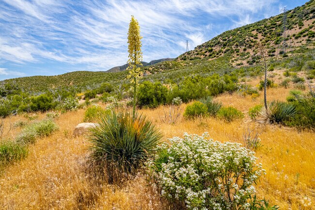 Apple Valley has amazing desert scenery.
