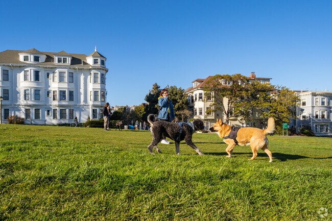 Two dogs enjoy the playing in the sun at Duboce Park Dog Park in Duboce Triangle.