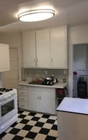 518 S Mills St Unit 1, Madison, WI 53715