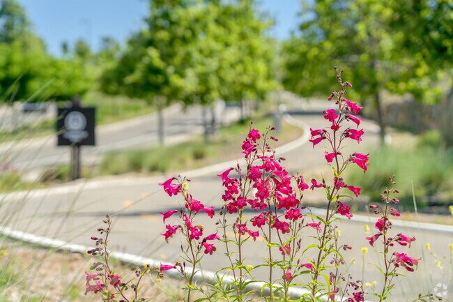 Beautiful flowers line the meandering walkways through Folsom Ranch.