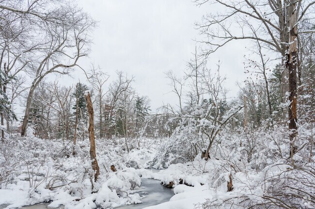 Martha Deering Wildlife borders with Milbury accommodating many neighborhoods to enjoy nature.