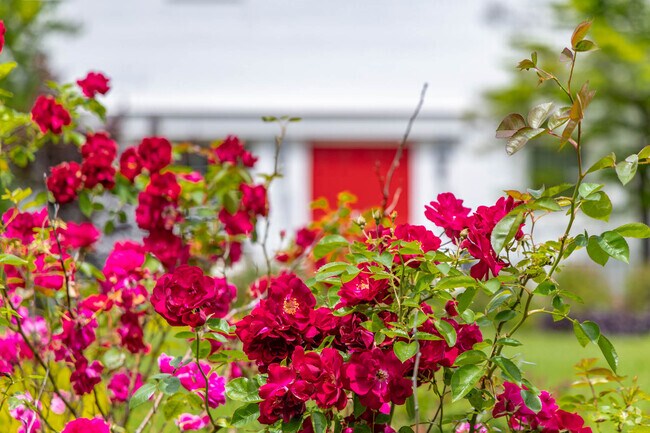 Milford shows beauty in many ways throughout the community.