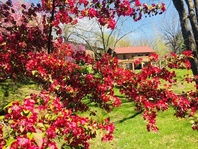 St. Andrews Apartments, Urbandale, IA 50322 - photo 6