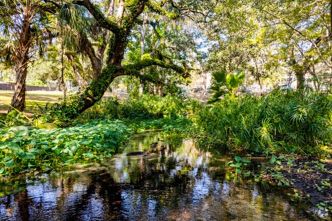 Lowry Park residents can relax next to the pond at Purity Springs Park.