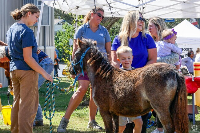 The many yearly events of Aledo feature a variety of activities, such as the local petting zoo.
