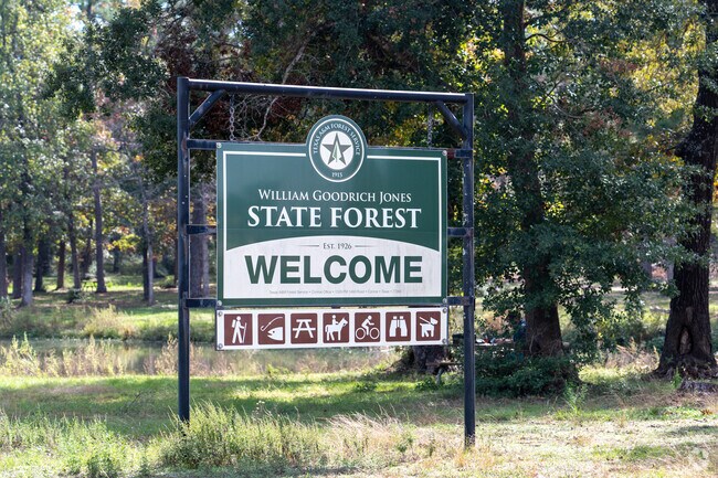 WG Jones State Forest invites visitors to explore.