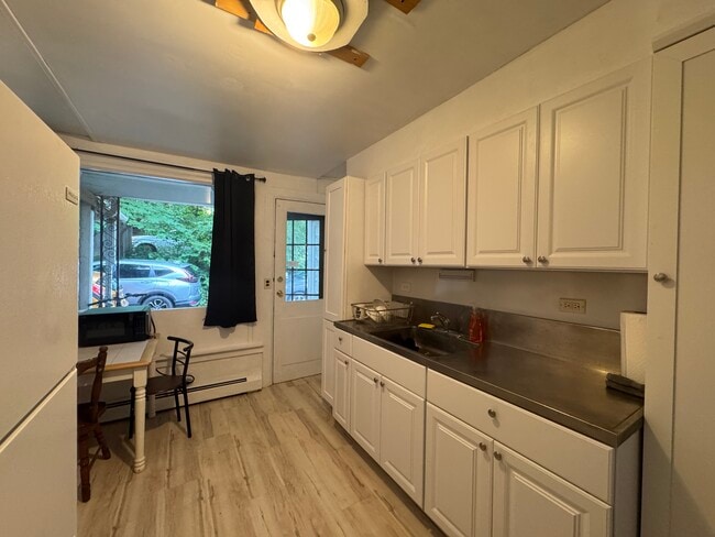 103 College Ave (2026-2027), Ithaca, NY 14850 - photo 2