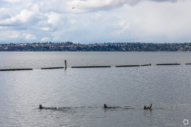 Gene Coulon Park near Kennydale is a popular spot for folks to partake in water activities.