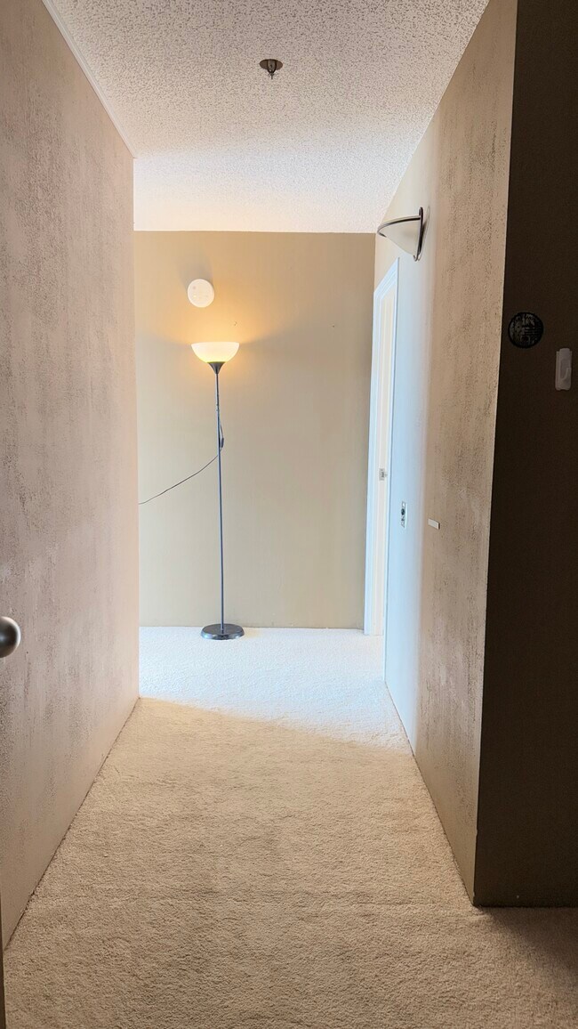 Gateview at Albany Hill Condos unit 555 Pierce St, Albany, CA 94706 - photo 6