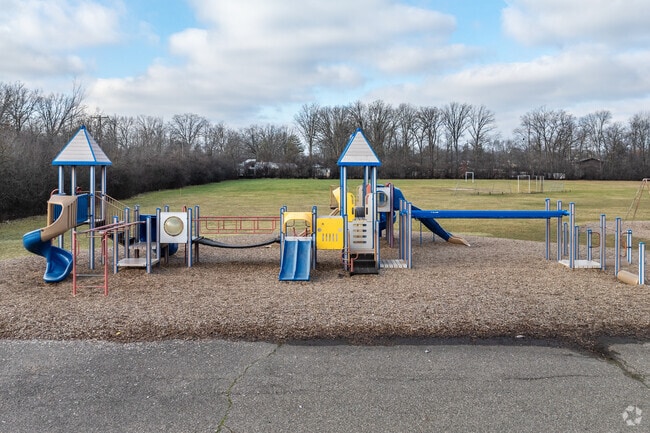 Adlai Stevenson Elementary School playground.