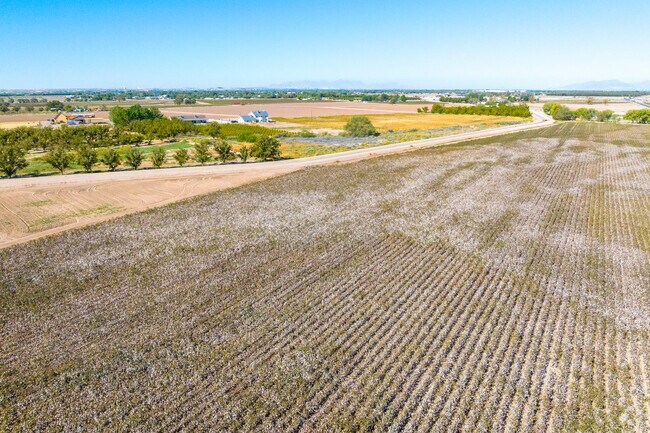 Experience the richness of farm life in Clint.