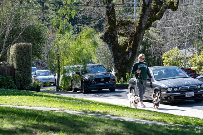 Charming streets and neighbors walking dogs in South Magnolia make Larkspur a picturesque place to live.