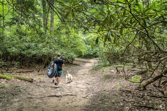 Friends and family walk to the natural water slide at Linn Run State Park.