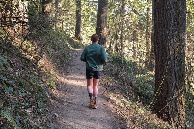 Trail running on Wildwood Trail Balch Creek at Forest Park in Portland, Oregon.