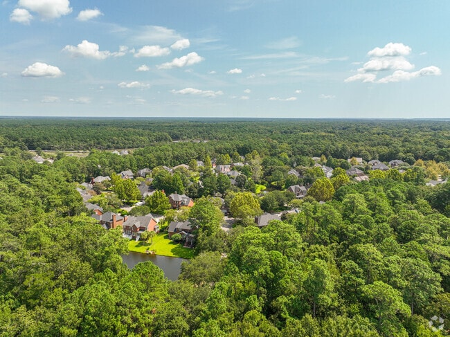 The Brickyard neighborhood is dense with luscious greenery in Mount Pleasant.