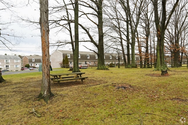 Picnic Area