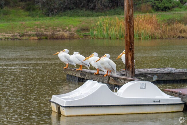 Encounter the wonders of wildlife in Upper Yucaipa's Regional Park.