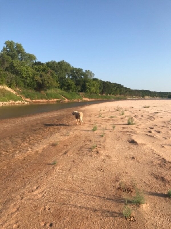 4411 County Rd 127, Whitesboro, TX 76273