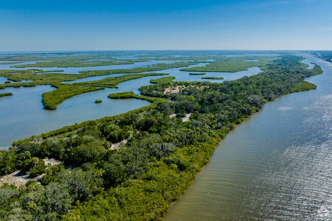 Be on the lookout for dolphins or manatees as you cruise the many waterways of South Edgewater.