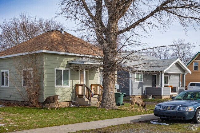 Kids will love seeing the various wildlife that stroll through the neighborhoods of La Grande.